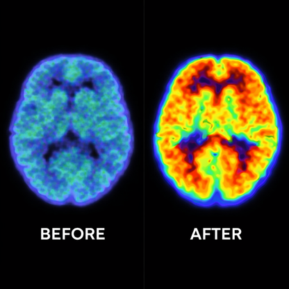 Memorix™ By Xeviola | Rebuild Your Memory In 7 Minutes Per Day