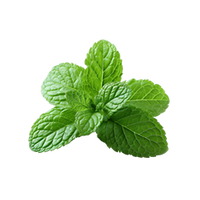 Peppermint